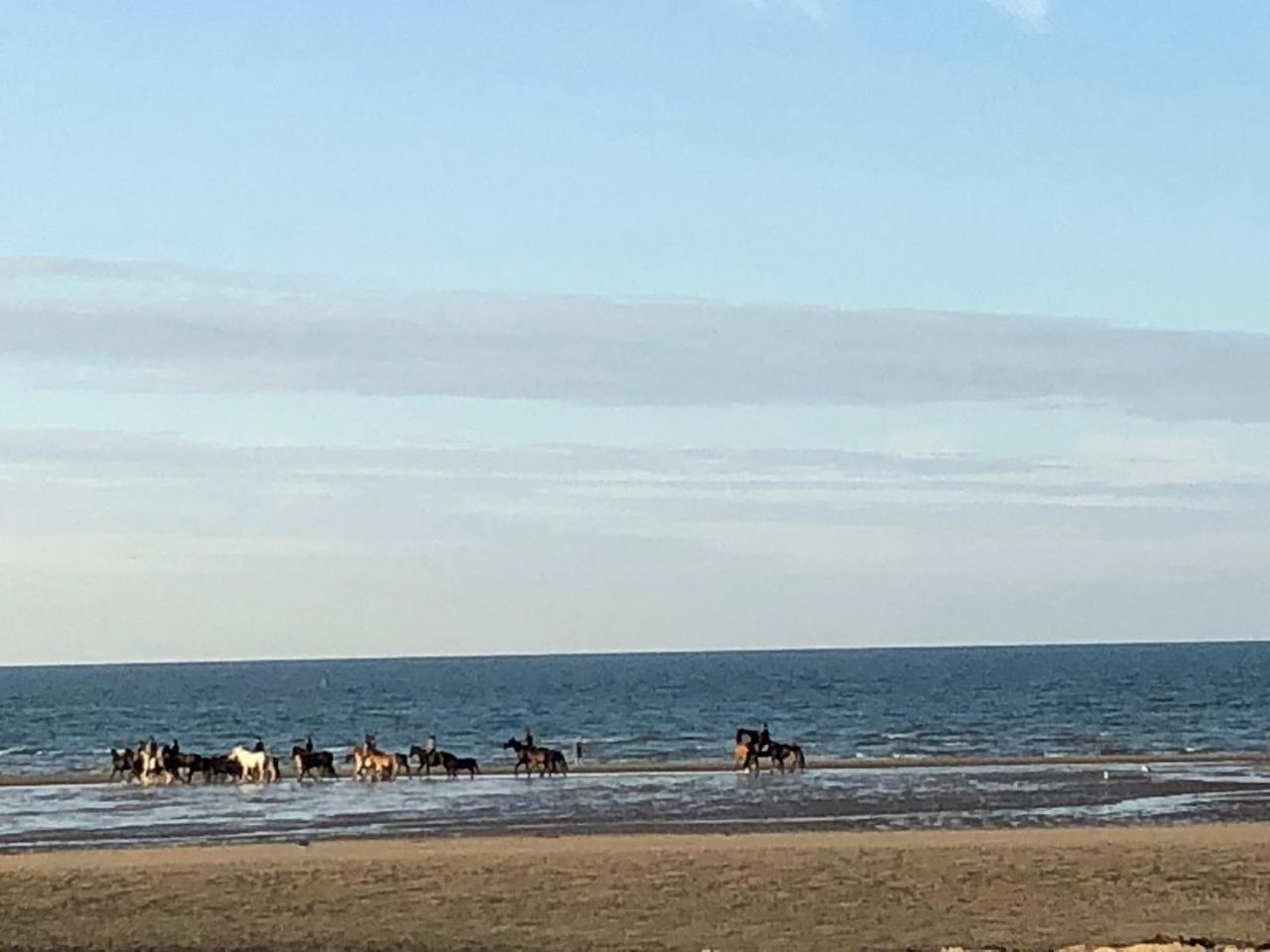 La Villa Andry Ouistreham Dış mekan fotoğraf